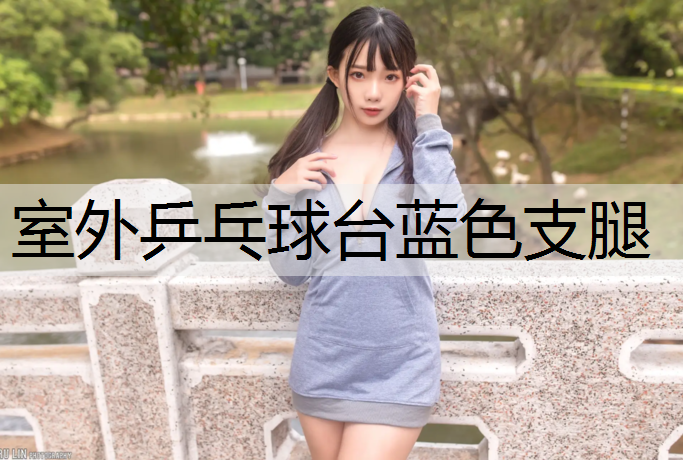 室外乒乓球台蓝色支腿