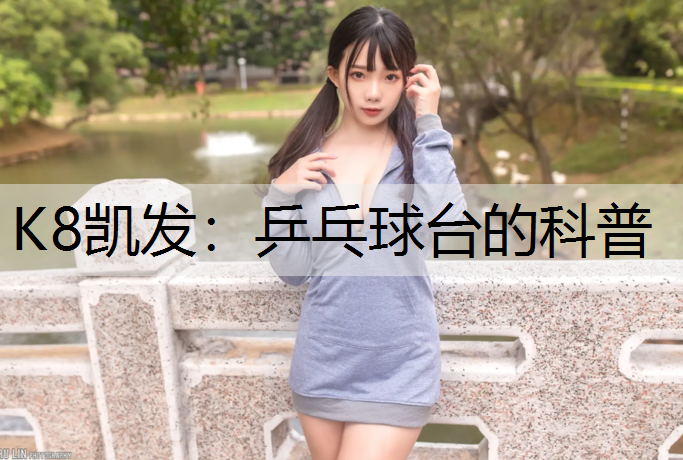 乒乓球台的科普