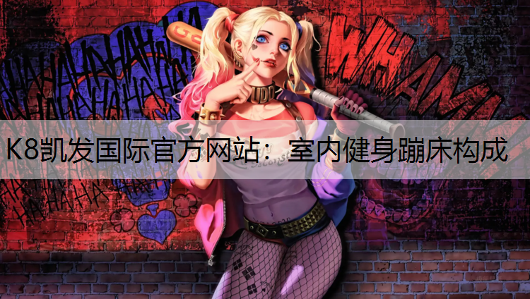 室内健身蹦床构成